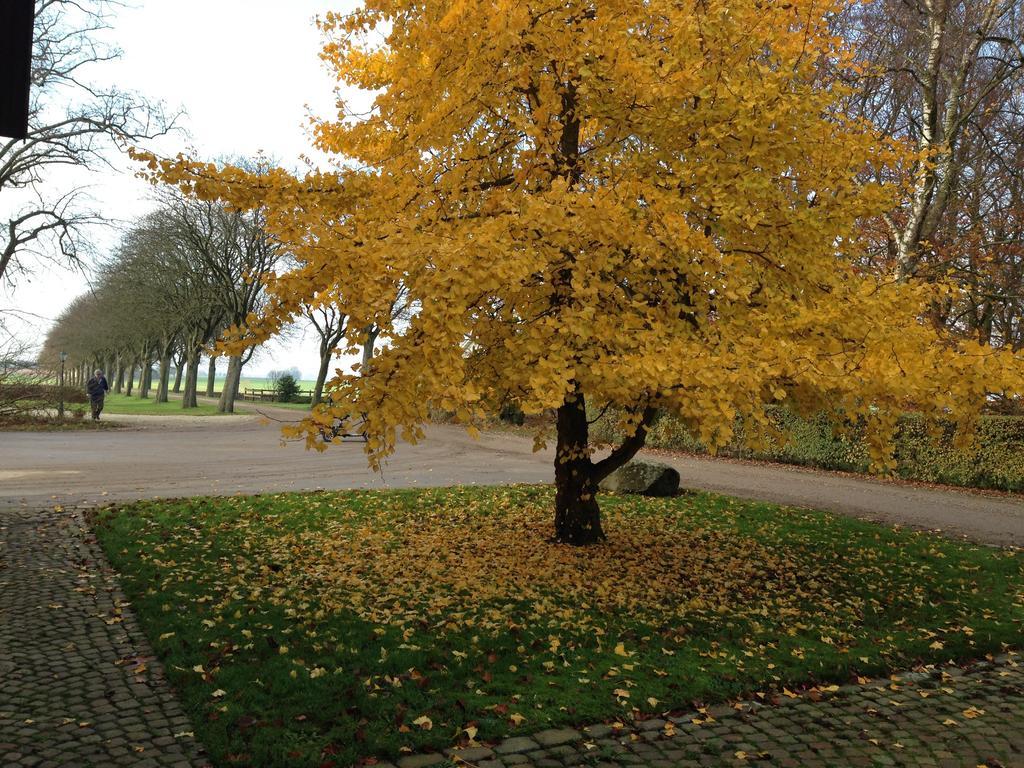 Wirketorp Countryside Hotel Kävlinge Zewnętrze zdjęcie