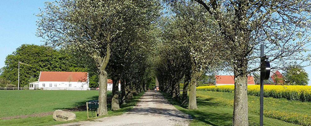 Wirketorp Countryside Hotel Kävlinge Zewnętrze zdjęcie